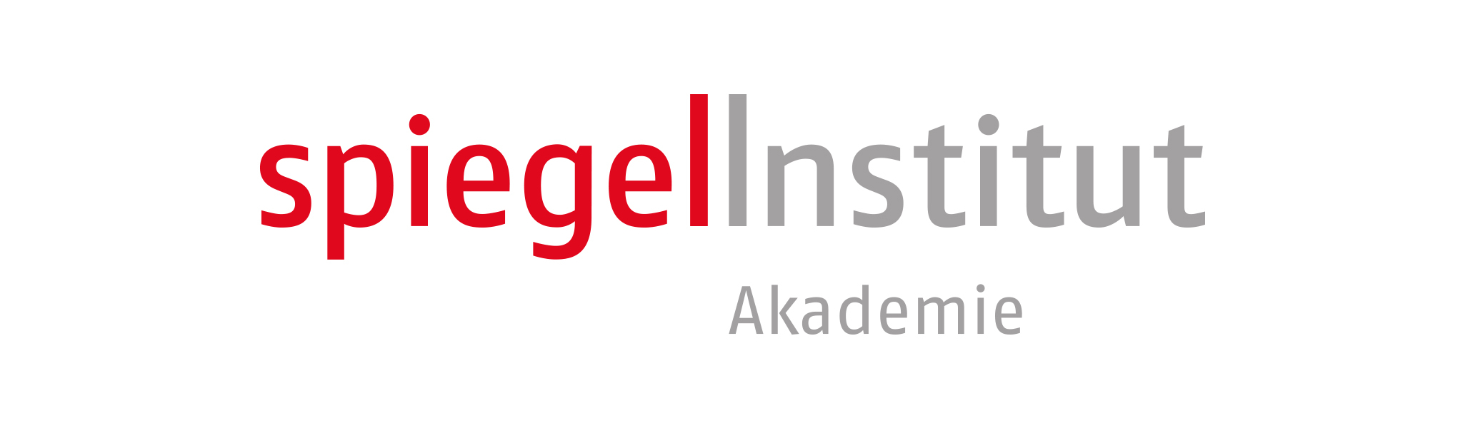 Spiegel Institut Akademie